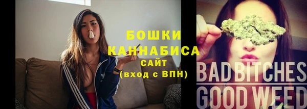 spice Аркадак