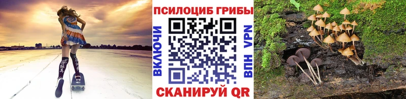 Псилоцибиновые грибы GOLDEN TEACHER  Подпорожье 